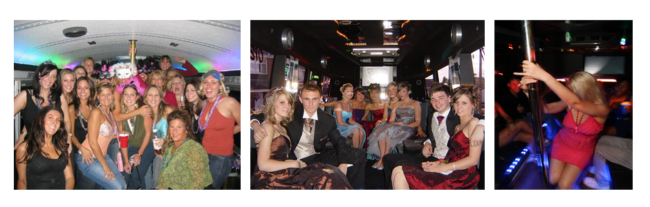 Bedford Limo Hire Party Bus